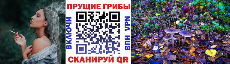 цена наркотик  Боготол  мега онион  Галлюциногенные грибы GOLDEN TEACHER 